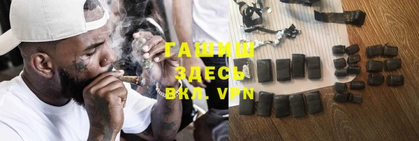 шишки Белокуриха