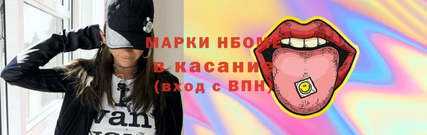 шишки Белокуриха