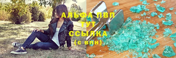 шишки Белокуриха