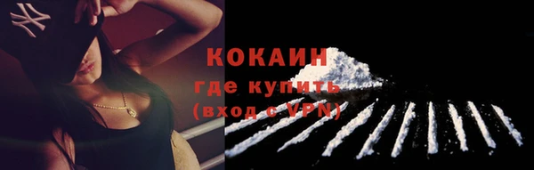 шишки Белокуриха