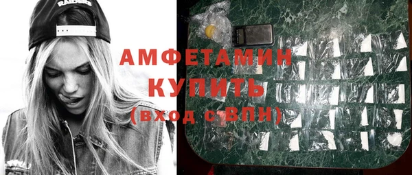 шишки Белокуриха