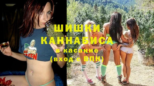 шишки Белокуриха