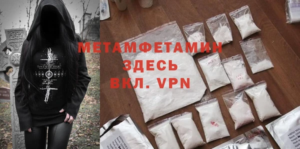 шишки Белокуриха