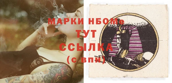 шишки Белокуриха