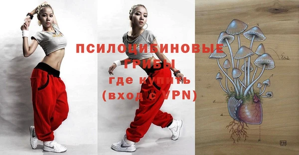шишки Белокуриха