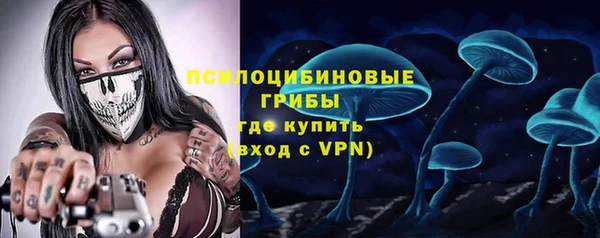 шишки Белокуриха