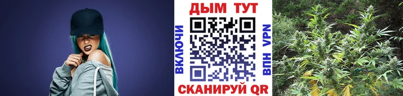 Шишки марихуана гибрид  ОМГ ОМГ как войти  Купино 
